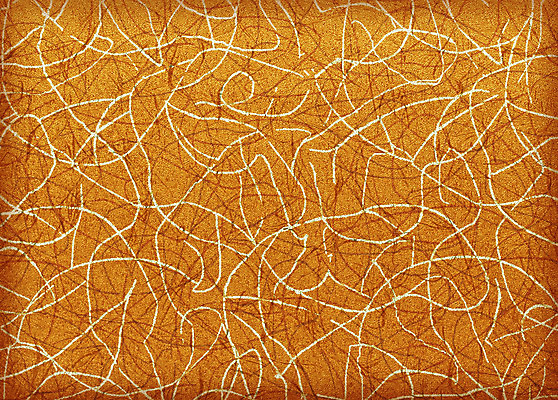 포토 JPG 해외이미지 식물 템플릿 디자인 백그라운드 잎 패턴 일러스트 벽지 추상 미술 사람없음 장식 빛 유행 수확 소용돌이 인사 신용카드 화려 재산 클래식 고급 우아함 복고 초대 모자이크 비네팅 구식 르네상스 빅토리아 옛날 회복 디테일 해외202004 해외포토 컨셉 무늬 농업 문화예술 촬영기법 금융 회오리 예절 파일형식 이미지허브