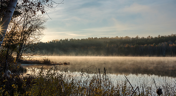 포토 JPG 해외이미지 나무 계절 호수 캐나다 자연 하늘 아침 사람없음 야외 물 햇빛 반사 평화 맑음 안개 가을 신선 소나무 황무지 숲 속도 내추럴 해외202004 해외포토 주간 자연요소 식물 컨셉 북아메리카 날씨 태양 생태계 파일형식 이미지허브