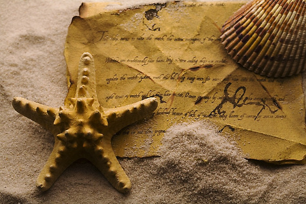 포토 JPG 해외이미지 캐릭터 모래 백그라운드 텍스트 자연 휴가 불가사리 사랑 사람없음 여름 갈색 메시지 질감 초대 필기체 해외202004 해외포토 문자 계절 감정 컬러 극피동물 생태계 파일형식 이미지허브