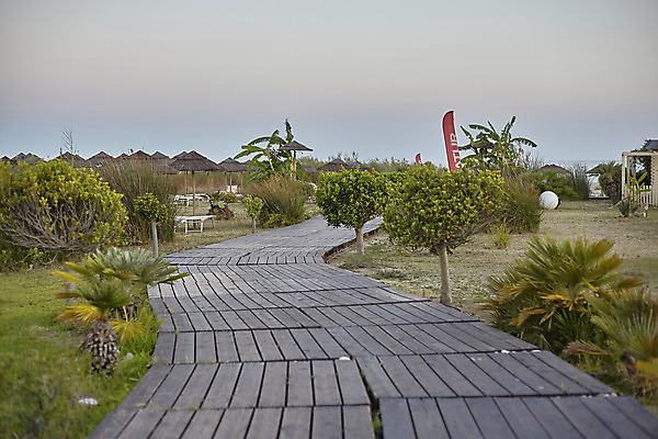 포토 JPG 해외이미지 나무 구름 공원 꽃 별 길 어린이 백그라운드 일러스트 자연 하늘 동화 조명 주택 요정 이야기 미술 풍경 사람없음 야외 건물 초록색 여름 파란색 빛 디지털 정원 놀람 꿈 안개 바위 숲 유혹 장면 공상 마법 내추럴 조작 몽환 해외202004 해외포토 자연요소 식물 건축물 계절 공공시설 감정 컬러 컨셉 날씨 문화예술 표정 사람 돌_바위 생태계 파일형식 이미지허브