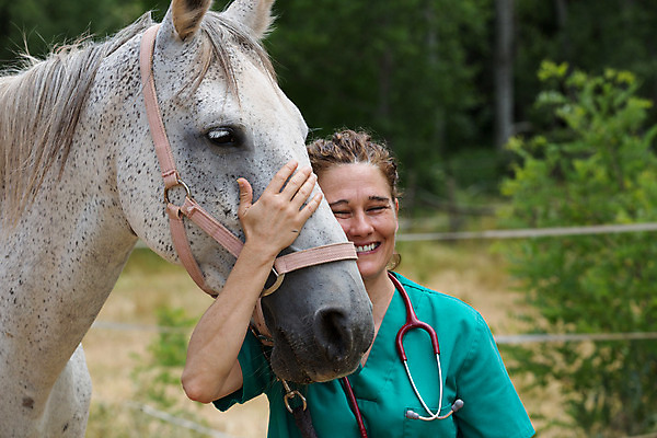 포토 JPG 해외이미지 동물 백인 직업 여자 밭 포유류 한명 사람 약 농장 가축 목장 고통 시험 의사 시골 긴급 소 군중 확인 문서 외과 수의사 송아지 돌봄 송아지고기 스페인어 아랍어 해외202004 해외포토 서양인 1 교육 감정 새끼 농업 의학 모션 병원 육류 의료진 파일형식 이미지허브
