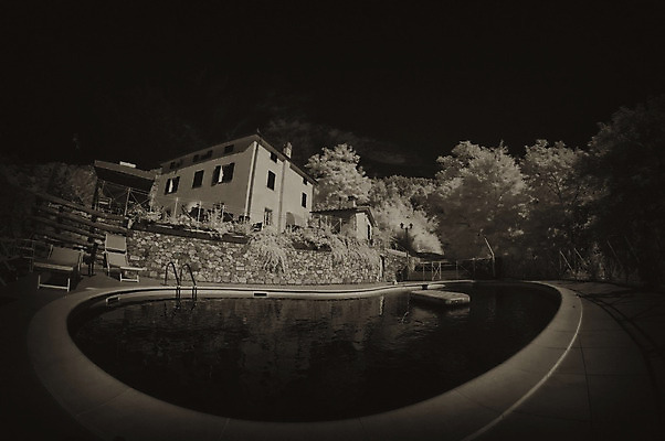 포토 JPG 해외이미지 나무 라이프스타일 계절 스포츠 파도 바다 여행 백그라운드 의자 건축양식 자연 하늘 호텔 휴가 휴식 주택 손바닥 풍경 사람없음 물 여름 파란색 빛 운동 태양 반사 정원 수영 스파 목욕 젖음 고급 시원함 빌라 휴양지 터키석 파라다이스 해외202004 해외포토 자연요소 식물 손 건축 컬러 가구 컨셉 숙소 건강 건물 생활 청결 장소 수상스포츠 보석 생태계 파일형식 이미지허브