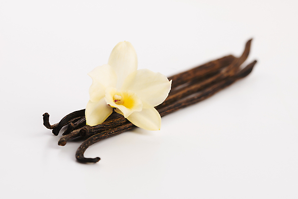 포토 JPG 해외이미지 꽃 음식 백그라운드 재료 자연 디저트 콩 건조 요리 동양인 사람없음 갈색 노란색 검은색 벚꽃 흰색 양념 막대기 난초 달콤 맛 인도인 향신료 오브젝트 유기농 아로마 향 흙더미 내추럴 고립 꼬투리 바닐라 이국적 해외202004 해외포토 외국인 식물 웰빙 컬러 컨셉 곡류 인종 흙 생태계 향미료 파일형식 더미 이미지허브