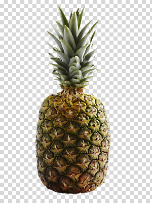 편집 편집이미지 음식 사람없음 파인애플 열대과일 PNG 트로피컬아트 편집소스 과일 그림 파일형식