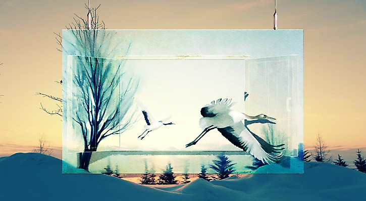 주간 PSD 나무 편집이미지 백그라운드 겨울 창문 사람없음 야외 노을 학 눈 액자레일 이미지편집 자연요소 식물 계절 액자 조류 날씨 파일형식