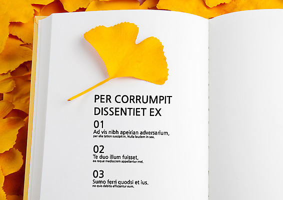 템플릿 내지 낙엽 사람없음 책 프레젠테이션 문서템플릿 서식 레이아웃 문서 은행잎 제안서 목차 이미지템플릿 AI파일 잎 파일형식 벡터