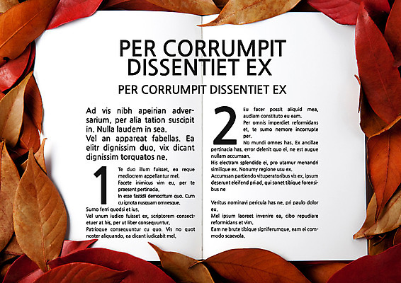 템플릿 내지 낙엽 사람없음 프레젠테이션 문서템플릿 서식 레이아웃 문서 제안서 이미지템플릿 AI파일 잎 파일형식 벡터