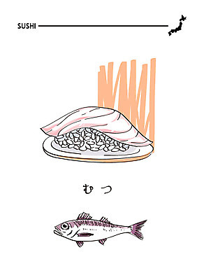 음식 일러스트 사람없음 초밥 일본어 해산물 일식집 일본음식 게르치 국내일러스트 AI파일 문자 식당 농어 파일형식 벡터