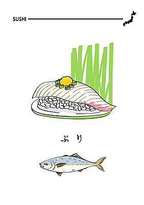 음식 일러스트 사람없음 초밥 방어 일본어 해산물 일식집 일본음식 국내일러스트 AI파일 문자 어류 식당 파일형식 벡터