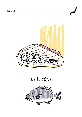 음식 일러스트 사람없음 초밥 일본어 해산물 도미초밥 돌돔 일식집 일본음식 국내일러스트 AI파일 문자 어류 식당 파일형식 벡터