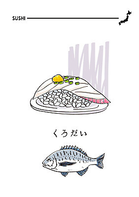 음식 일러스트 사람없음 초밥 일본어 해산물 도미 도미초밥 일식집 일본음식 먹도미 국내일러스트 AI파일 문자 어류 식당 파일형식 벡터
