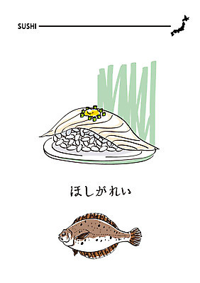 음식 일러스트 사람없음 초밥 일본어 해산물 일식집 일본음식 국내일러스트 AI파일 문자 식당 파일형식 벡터