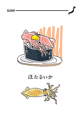 음식 일러스트 사람없음 초밥 일본어 해산물 꼴뚜기 일식집 일본음식 불똥꼴뚜기 국내일러스트 AI파일 문자 연체동물 식당 수중동물 파일형식 벡터