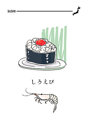 음식 일러스트 새우 사람없음 초밥 일본어 해산물 새우초밥 일식집 일본음식 흰새우 국내일러스트 AI파일 문자 갑각류 식당 파일형식 벡터