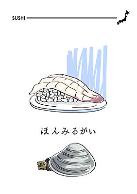 음식 일러스트 사람없음 초밥 일본어 해산물 일식집 일본음식 국내일러스트 AI파일 문자 식당 파일형식 벡터