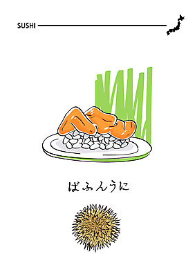 음식 일러스트 사람없음 초밥 일본어 해산물 성게 일식집 일본음식 국내일러스트 AI파일 문자 극피동물 식당 파일형식 벡터