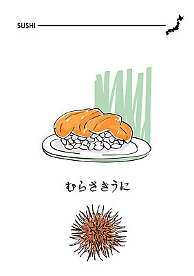 음식 일러스트 사람없음 초밥 일본어 해산물 성게 일식집 일본음식 보라성게 국내일러스트 AI파일 문자 극피동물 식당 파일형식 벡터