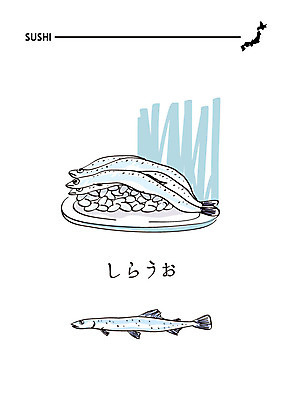 음식 일러스트 사람없음 초밥 일본어 해산물 일식집 일본음식 뱅어 국내일러스트 AI파일 문자 어류 식당 파일형식 벡터