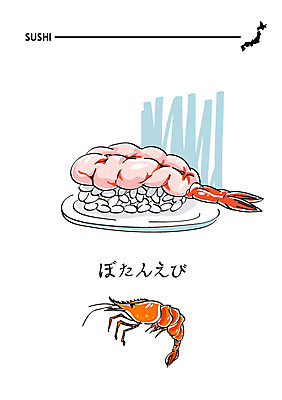 음식 일러스트 새우 사람없음 초밥 일본어 해산물 새우초밥 일식집 일본음식 국내일러스트 AI파일 문자 갑각류 식당 파일형식 벡터