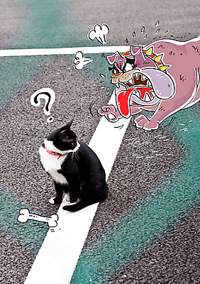 주간 편집이미지 합성일러스트 사람없음 야외 고양이 물음표 강아지 합성 주차장 개뼈다귀 반려 이미지편집 AI파일 자연요소 기호 포유류 반려동물 개 애견간식 파일형식 벡터