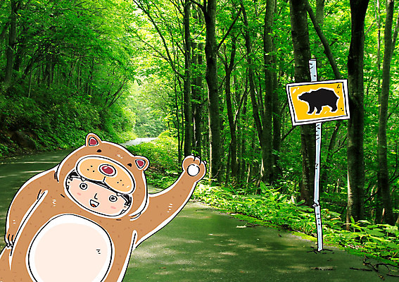 주간 나무 편집이미지 어린이 곰 자연 합성일러스트 한명 풍경 야외 표지판 숲 합성 이미지편집 AI파일 자연요소 식물 동물 1 포유류 알림판 사람 생태계 파일형식 벡터