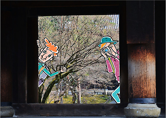 주간 나무 편집이미지 남자 여행 합성일러스트 성인 야외 두명 여행객 카메라 사진촬영 합성 이미지편집 AI파일 자연요소 식물 사람 전자제품 촬영 파일형식 벡터