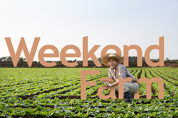 주간 PSD 편집이미지 모자 알파벳 남자 밭 한명 성인 타이포그라피 야외 농장 한국인 농부 디지털합성 폴리곤 디지털아트 이미지편집 자연요소 직업 문자 1 영어 잡화 농업 사람 동양인 파일형식