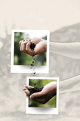 JPG 편집이미지 손 프레임 성인 신체부위 흙 농촌 농부 콜라주 귀농 폴라로이드사진 사진필름 디지털아트 이미지편집 편집실사 직업 농업 사람 시골 필름 CG 폴라로이드 파일형식