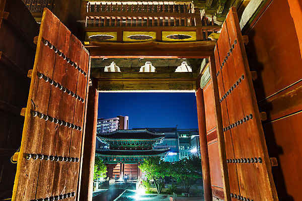 포토 JPG 나무 전통 건축 야경 서울 사람없음 야외 문 궁전 전통문 종로 창경궁 국내포토 식물 고건축 한국 야간 파일형식 풍경_경치