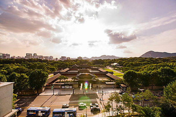 포토 JPG 나무 구름 전통 건축 도로 하늘 산 버스 서울 풍경 사람없음 야외 궁전 종로 창경궁 국내포토 자연요소 식물 길 육상교통 고건축 교통시설 대중교통 한국 파일형식