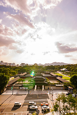 포토 JPG 나무 구름 전통 건축 도로 자동차 하늘 산 서울 풍경 사람없음 야외 궁전 종로 창경궁 국내포토 자연요소 식물 길 육상교통 고건축 교통시설 한국 파일형식