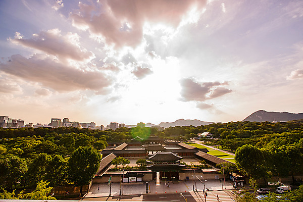 포토 JPG 나무 전통 건축 산 서울 풍경 사람없음 야외 일몰 궁전 역광 종로 창경궁 국내포토 식물 고건축 한국 노을 파일형식