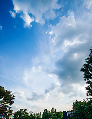 포토 JPG 주간 나무 구름 건축 하늘 풍경 사람없음 야외 국내포토 자연요소 식물 파일형식