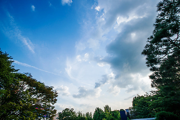 포토 JPG 주간 전통 건축 서울 풍경 사람없음 야외 궁전 종로 창경궁 국내포토 자연요소 고건축 한국 파일형식