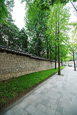 포토 JPG 주간 나무 전통 건축 거리 사람없음 야외 담장 국내포토 자연요소 식물 파일형식