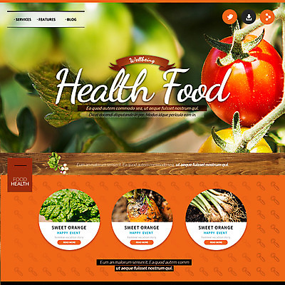 PSD 템플릿 웹템플릿 채소 방울토마토 이벤트페이지 건강 이벤트 사람없음 당근 파 웰빙음식 이미지템플릿 웰빙 토마토 뿌리채소 페이지 건강식 파일형식
