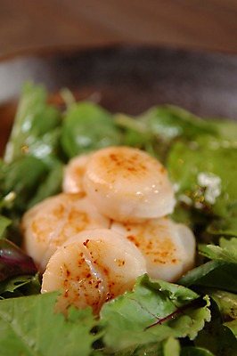 포토 JPG 접시 음식 근접촬영 사람없음 구이 관자 일본음식 국내포토 식기 뷰포인트 파일형식