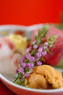 포토 JPG 접시 음식 사람없음 생선회 회 성게알 일본음식 국내포토 식기 알 파일형식