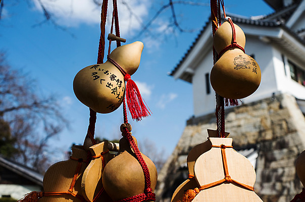 포토 JPG 주간 밧줄 매달리기 풍경 사람없음 야외 일본 여러개 일본전통 호리병 국내포토 자연요소 전통 아시아 줄 다수 모션 병_용기 파일형식