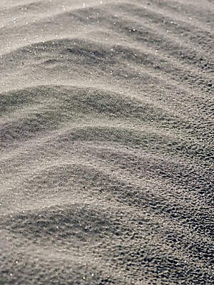 포토 JPG 주간 모래 자연 사람없음 야외 모래사장 국내포토 자연요소 바다 생태계 파일형식