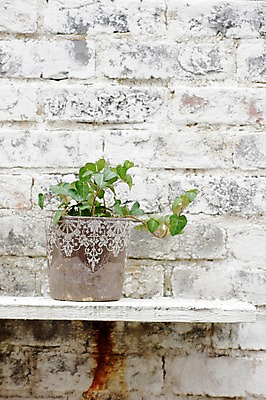 포토 JPG 식물 화분 벽 백그라운드 벽돌 실내 사람없음 일본 흰색 진열장 화분진열대 국내포토 아시아 컬러 내부 파일형식