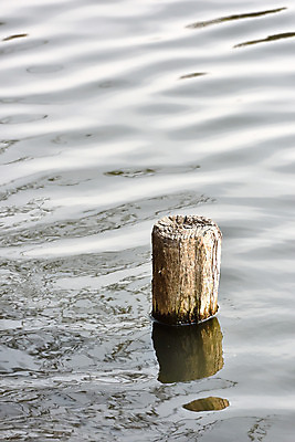 포토 JPG 주간 사람없음 야외 물 일본 말뚝 치바 국내포토 자연요소 아시아 파일형식