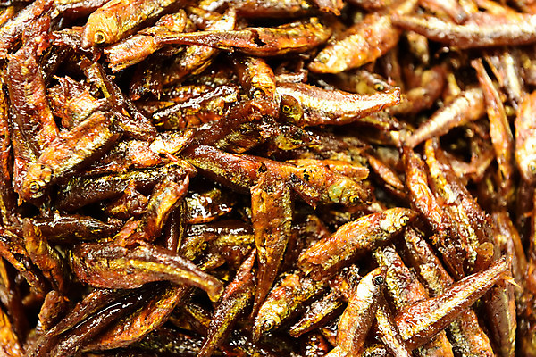 포토 JPG 반찬 근접촬영 사람없음 쌓기 멸치 멸치볶음 일본음식 국내포토 음식 뷰포인트 모션 어류 볶음 파일형식