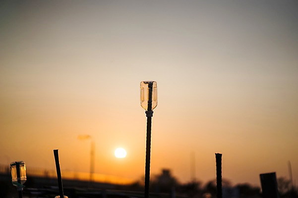 포토 JPG 주간 실루엣 배경화면 백그라운드 하늘 풍경 사람없음 야외 태양 일출 일몰 막대기 페트병 지지대 국내포토 자연요소 촬영기법 노을 도구 병_담는 파일형식