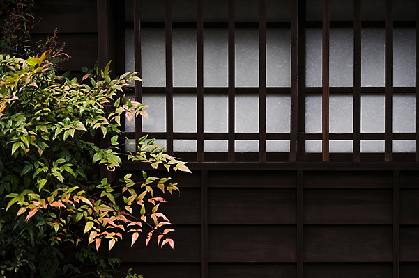 포토 JPG 주간 식물 주택 풍경 사람없음 야외 문 일본 일본전통 국내포토 자연요소 전통 아시아 건물 파일형식