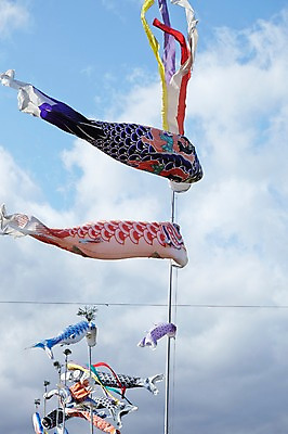 포토 JPG 주간 하늘 날리기 풍경 사람없음 야외 일본 일본전통 국내포토 자연요소 전통 아시아 모션 파일형식