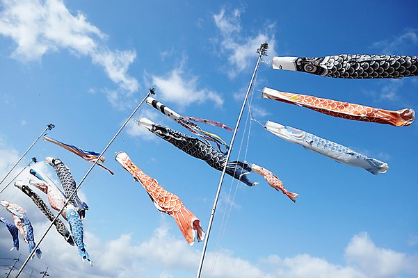 포토 JPG 주간 하늘 날리기 풍경 사람없음 야외 일본 일본전통 국내포토 자연요소 전통 아시아 모션 파일형식