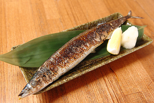 포토 JPG 접시 음식 사람없음 구이 생선구이 꽁치구이 일본음식 국내포토 식기 생선요리 파일형식