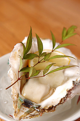 포토 JPG 음식 사람없음 굴 일본음식 국내포토 어패류 파일형식