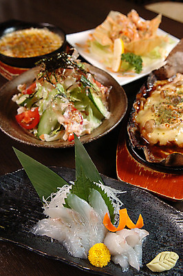 포토 JPG 접시 음식 종류 사람없음 샐러드 다양 생선회 일본음식 국내포토 식기 다수 회 파일형식